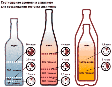 Выведение алкоголя из организма: время выведения алкоголя