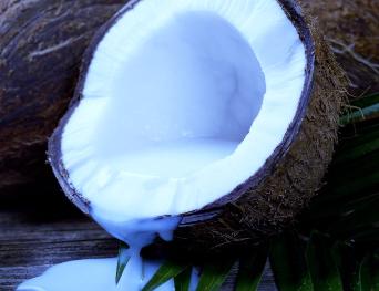 Пограничники нашли марихуану в кокосах